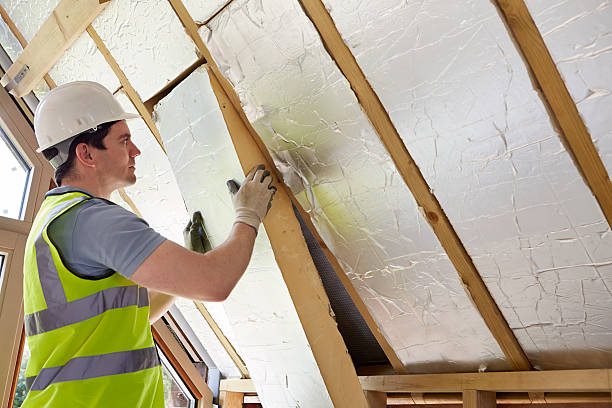Best Cellulose Insulation in Florence Graham, CA