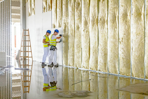 Best Commercial Insulation in Florence Graham, CA
